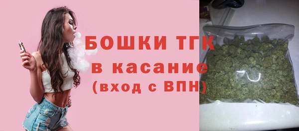 прущая мука Арсеньев
