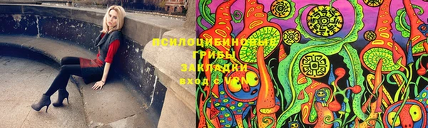 МДПВ Аркадак