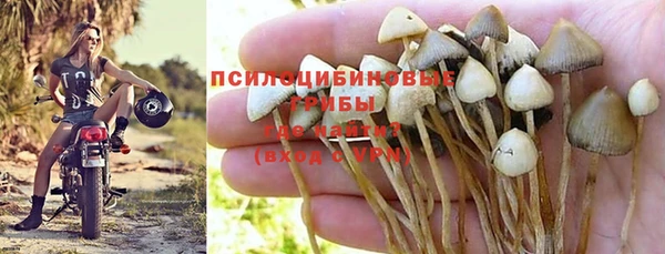 сатива Долгопрудный