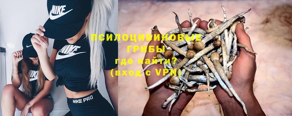 прущая мука Арсеньев