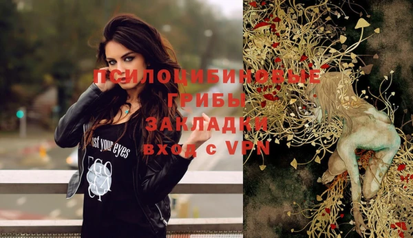 МДПВ Аркадак