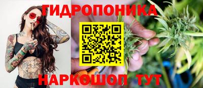 гидра Аргун