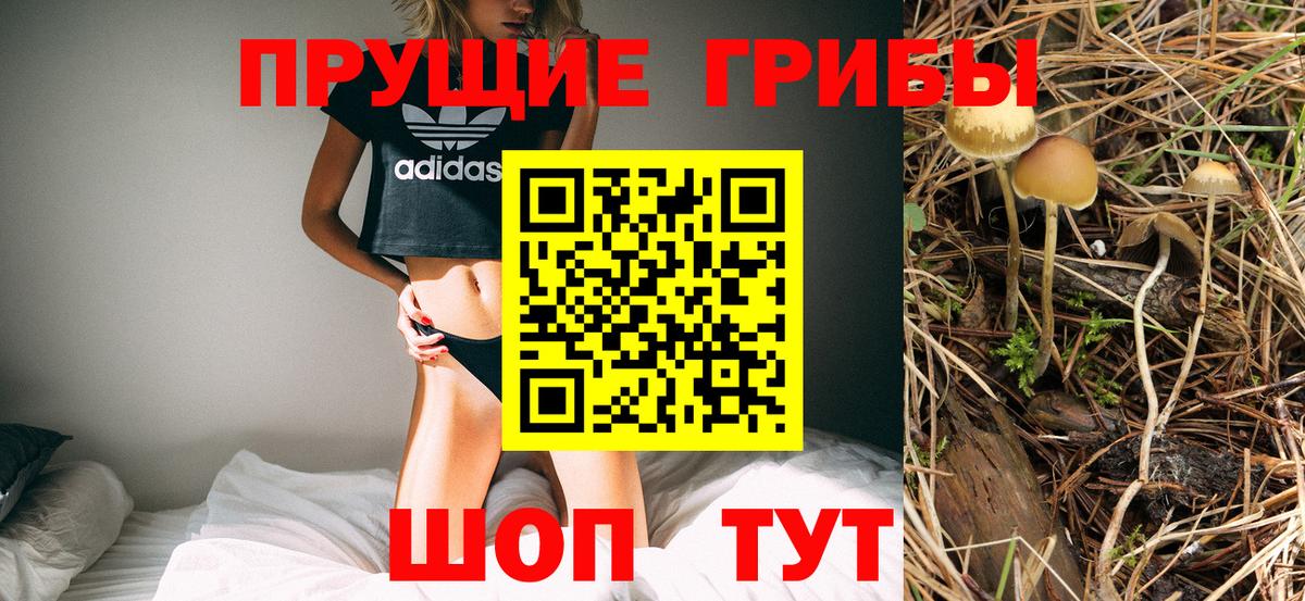 Псилоцибиновые грибы Psilocybine cubensis  Вход с VPN  Белореченск 