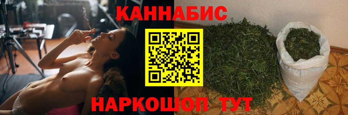 Бошки марихуана конопля Белореченск